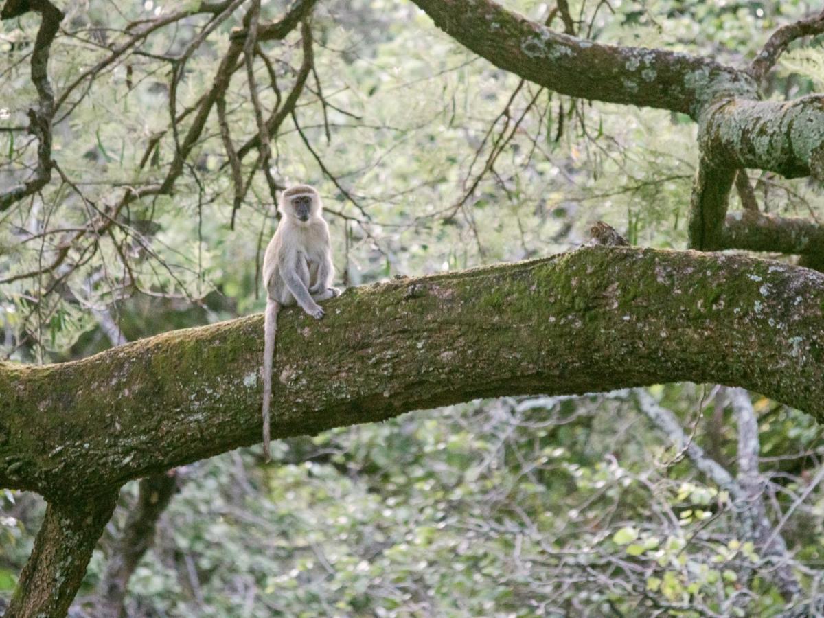 Lilayi Lodge Lusaka Kültér fotó