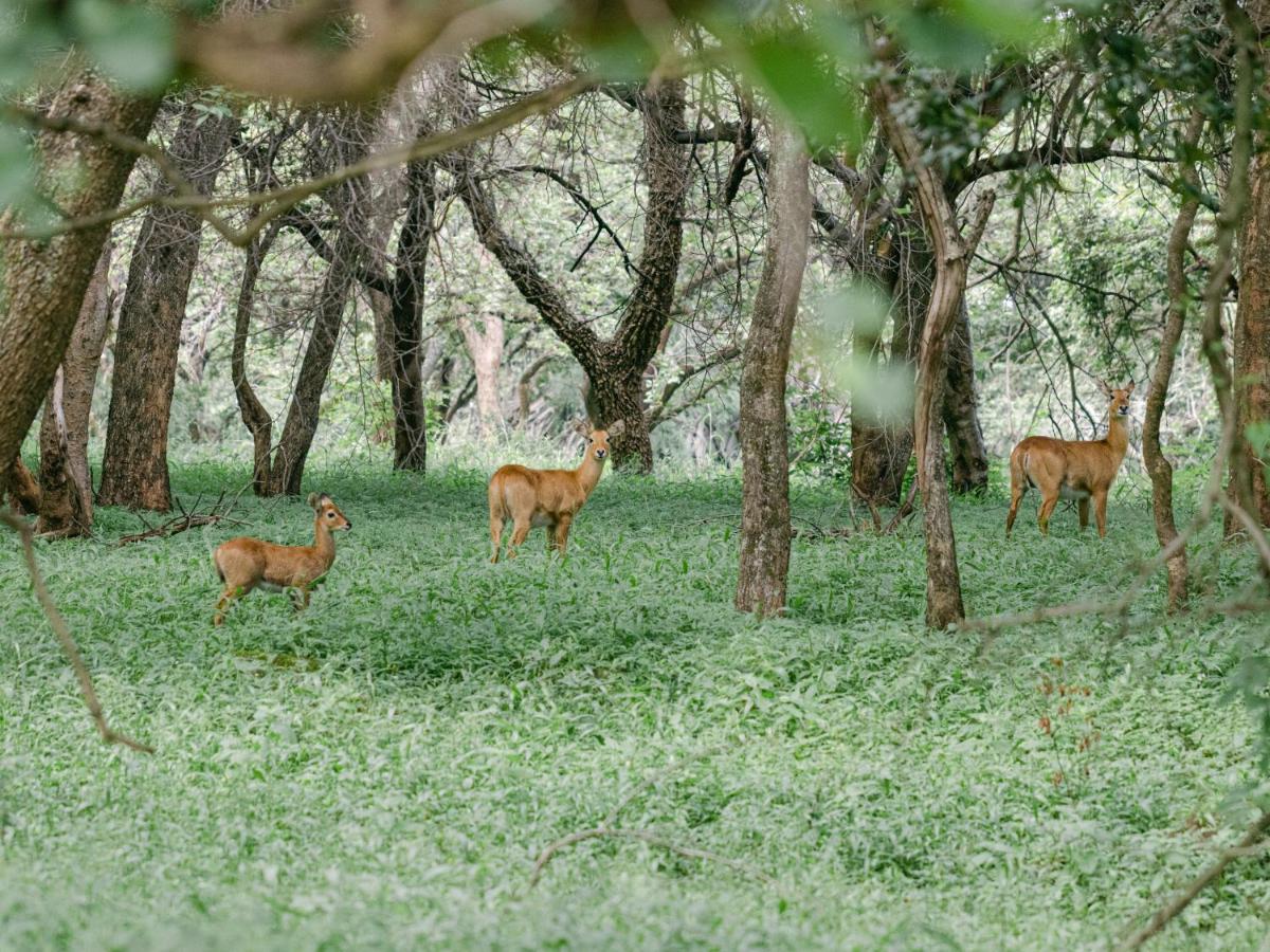 Lilayi Lodge Lusaka Kültér fotó