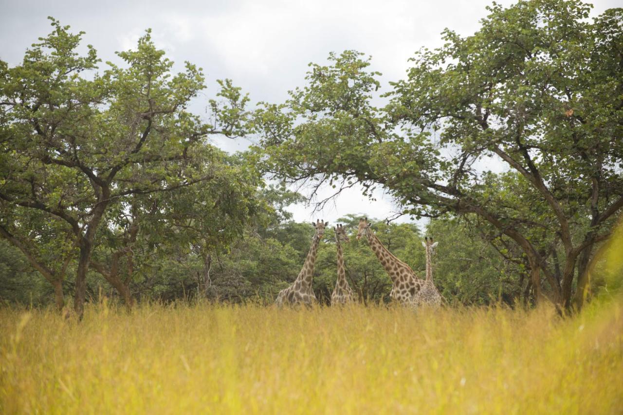 Lilayi Lodge Lusaka Kültér fotó